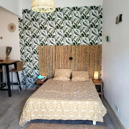 דירה La Boheme, 5 Mn De La Et De L Embarcadere, Parking Et Wifi Gratuits